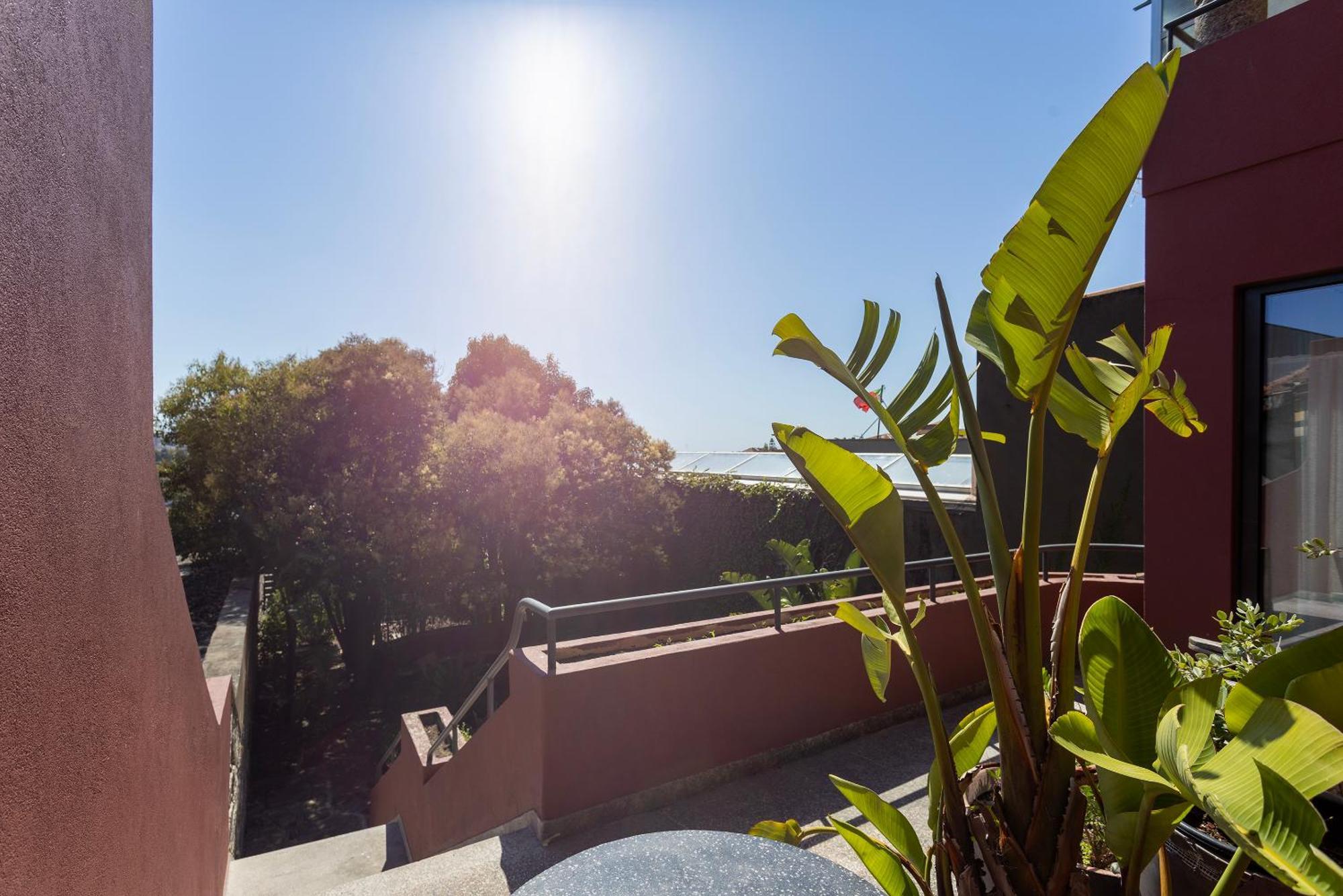 Liiiving In Porto - Casa Duque Apartments Екстер'єр фото